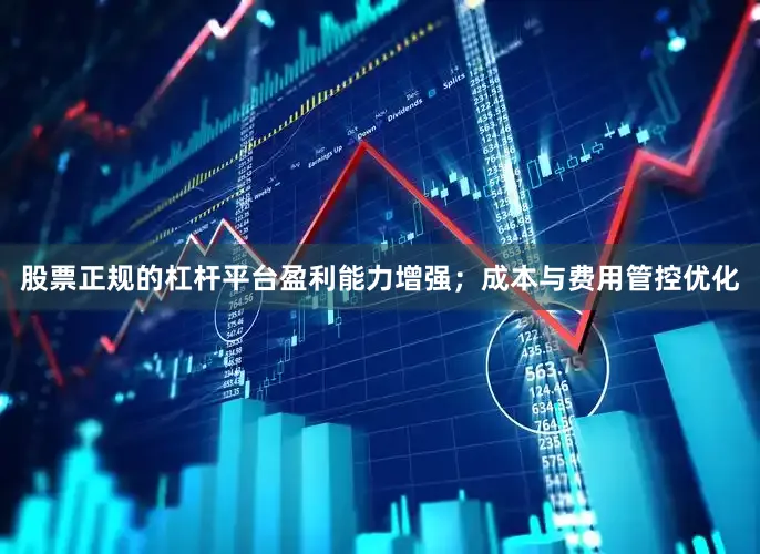 股票正规的杠杆平台盈利能力增强；成本与费用管控优化