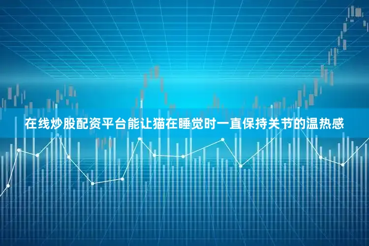 在线炒股配资平台能让猫在睡觉时一直保持关节的温热感