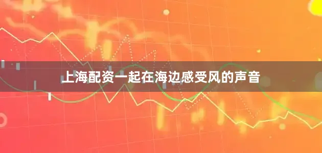 上海配资一起在海边感受风的声音