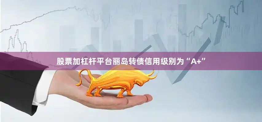 股票加杠杆平台丽岛转债信用级别为“A+”